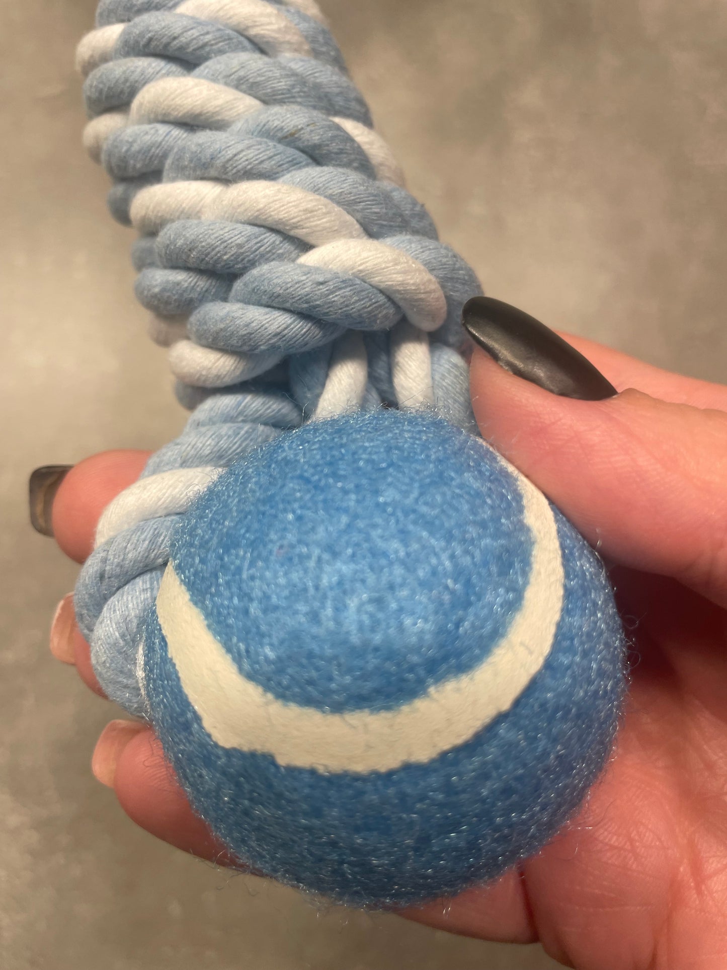 Balle de tennis avec corde pour chiots et chiens 30cm