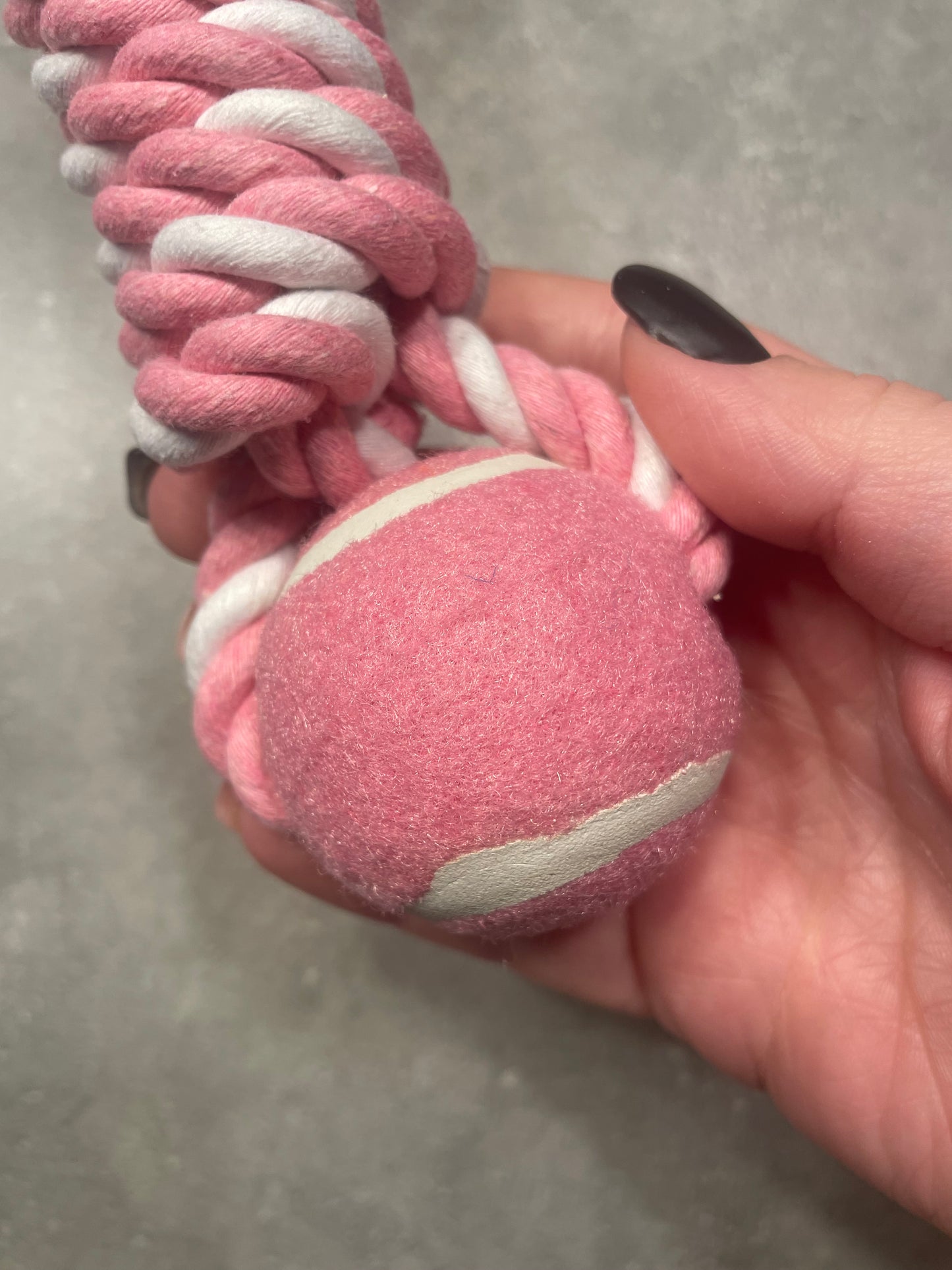 Balle de tennis avec corde pour chiots et chiens 30cm