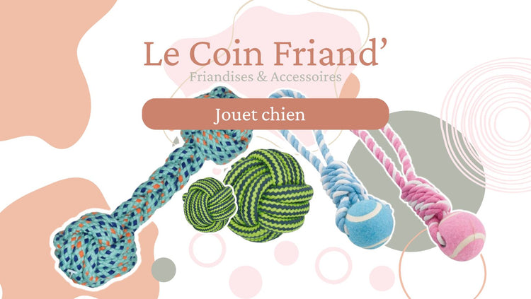 Jouet chien