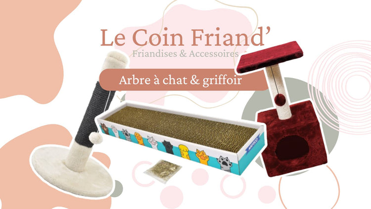 Arbre à chat / Griffoir