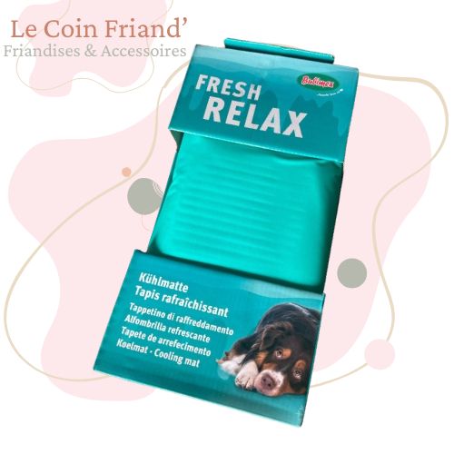 Tapis rafraichissant L